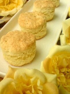A picture of Tofu Scones.
