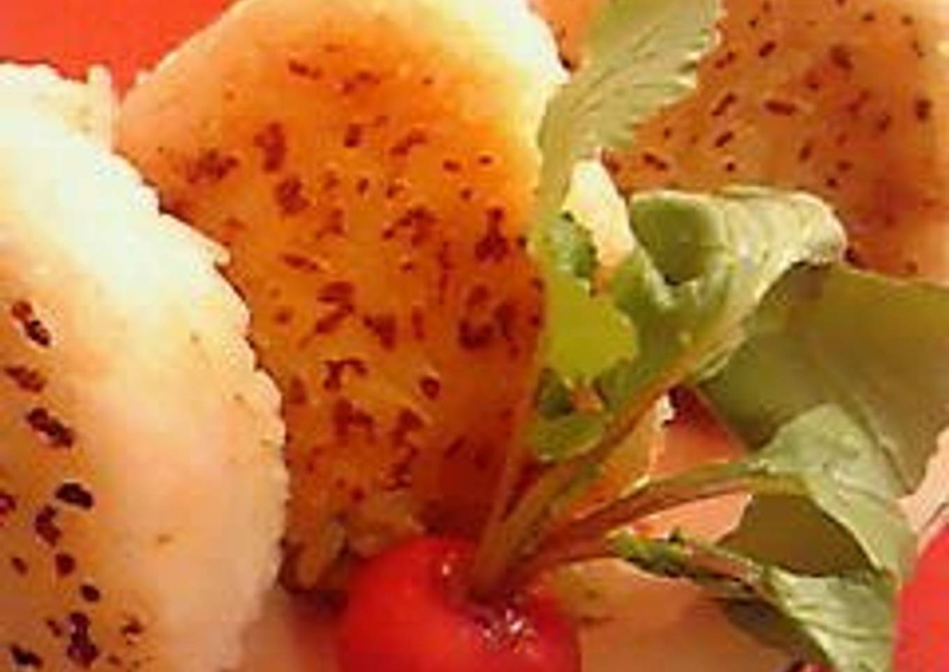 Easy with a Pan Toasted Rice Ball