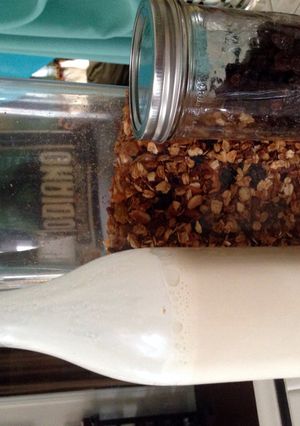 A picture of Cinnamon Almond Milk.