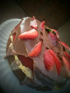 A picture of Milo and Red velvet cake with chocolate glaze.