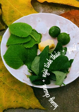 Hình của món Trị ho giảm đàm cho bé 5m+.