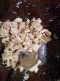 Quick Paleo Tuna Salad