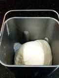 Bread Dough