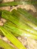 Very Useful Chicken Stock