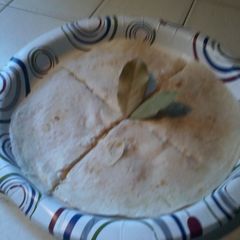 A picture of Arys famous quesadilla.