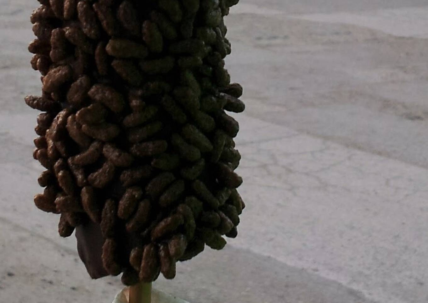 ChocoBananas