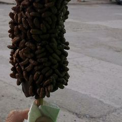 A picture of ChocoBananas.
