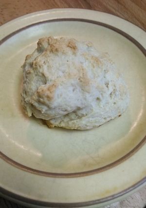 A picture of Best Butter Biscuits!.