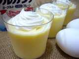 yogurt custard pudding