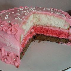 A picture of " Neapolitan Cake. ".