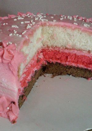A picture of " Neapolitan Cake. ".