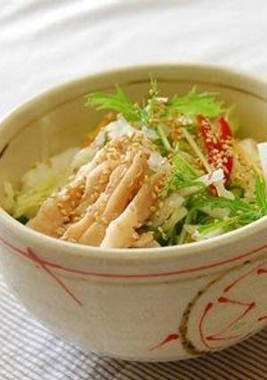 A picture of Chicken Salad Ochazuke.