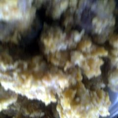 A picture of fried chicken gizzards.