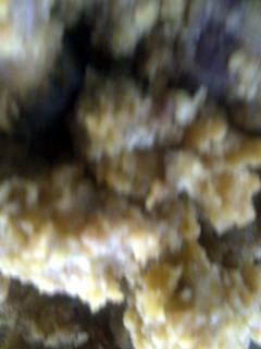 A picture of fried chicken gizzards.