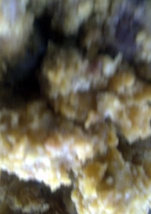 A picture of fried chicken gizzards.