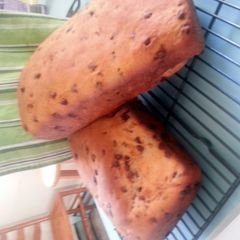 A picture of skye's chocolate chip bread (makes 2 loaves).