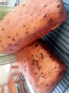 A picture of skye's chocolate chip bread (makes 2 loaves).