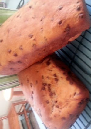 A picture of skye's chocolate chip bread (makes 2 loaves).