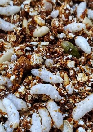 A picture of Skillet granola.