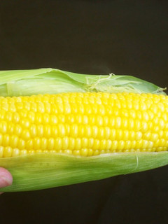 A picture of Simple Corn on the Cob! Microwave.