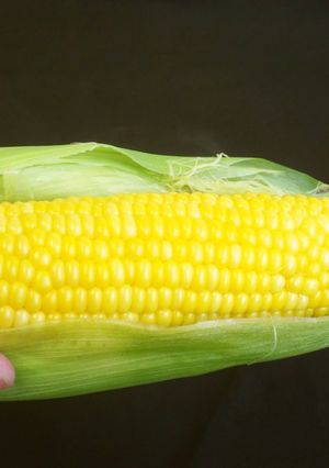 A picture of Simple Corn on the Cob! Microwave.
