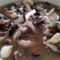 A picture of AMIEs "Bisteak" Squid.