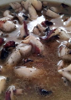 A picture of AMIEs "Bisteak" Squid.