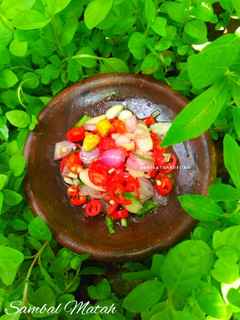 Foto resep Sambal Indonesia~Sambal Matah