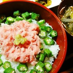 A picture of Negitoro and Okra Don.