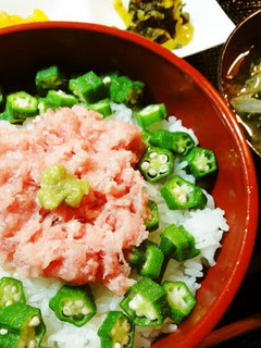 A picture of Negitoro and Okra Don.