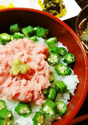 A picture of Negitoro and Okra Don.