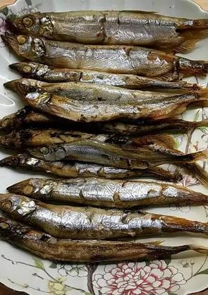 烤柳葉魚（烤箱） 的食譜成品照片