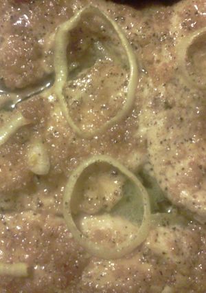A picture of garlic & brown sugar glazed chicken.