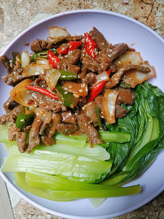 Foto resep Bulgogi Pokcoy