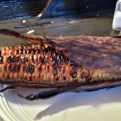 A picture of Grilled corn on the cob.