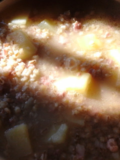 A picture of Barley and potato soup.