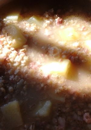 A picture of Barley and potato soup.