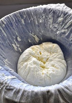 A picture of Home made cheese.