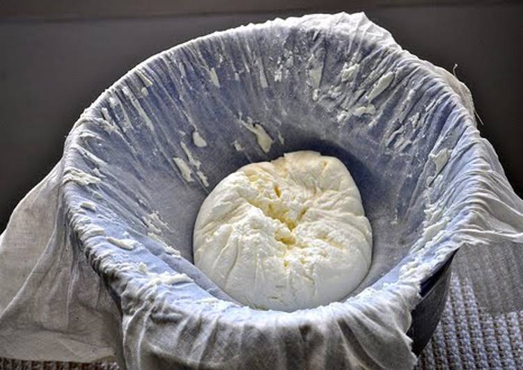 How to Prepare Perfect Home made cheese