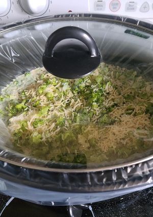 A picture of Slow cooker Parmesan garlic chicken my way.