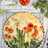 Garden focaccia bread