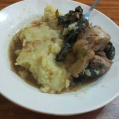A picture of Mashed potatoes and boiled chicken.