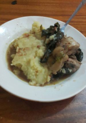 A picture of Mashed potatoes and boiled chicken.
