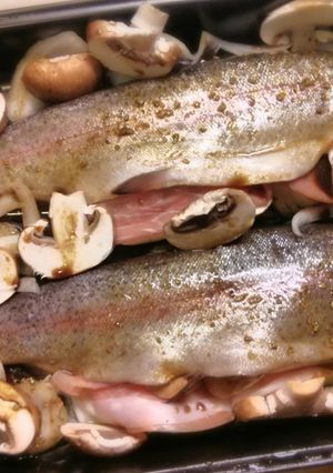 A picture of Baked trout with prosciutto.