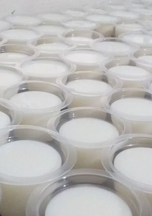 Foto resep Puding susu simple 3 bahan