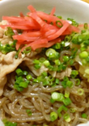 A picture of Beef Bowl? Pork Bowl? Shirataki Noodle Bowl!!.