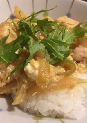 A picture of Inexpensive & Healthy Chicken and Egg Rice Bowl.