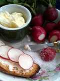 Elegant Radishes