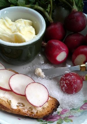 A picture of Elegant Radishes.