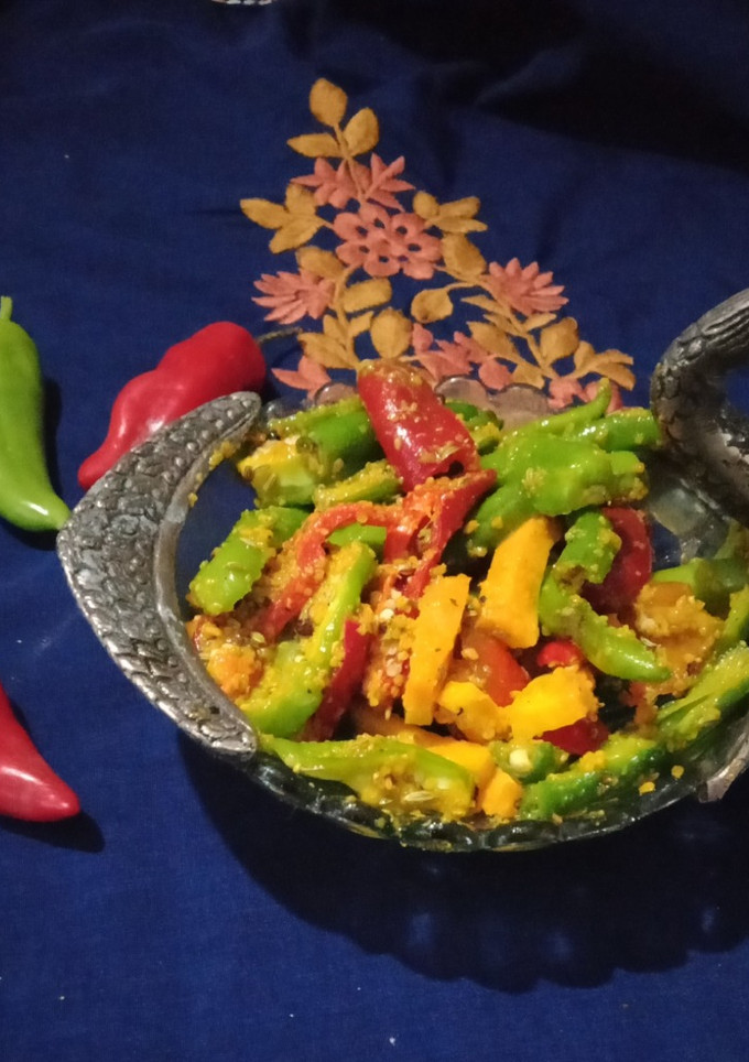 લાલ લીલા રાયતા મરચા(Red,green raita marcha recipe in Gujarati) રેસીપી મુખ્ય ફોટો